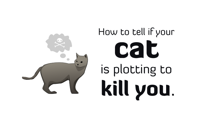 how-to-tell-if-your-cat-is-plotting-to-kill-youftrd