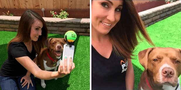 a-genius-just-figured-out-how-to-take-the-perfect-dog-selfie-and-it-s-everythingftrd