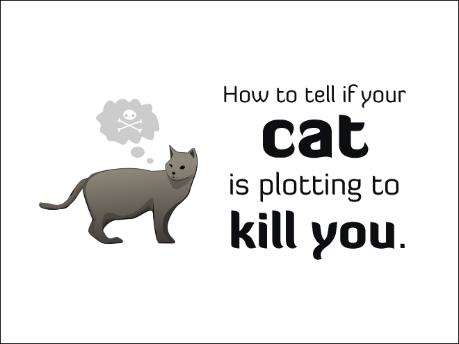 How to Tell If Your Cat is Plotting to Kill You