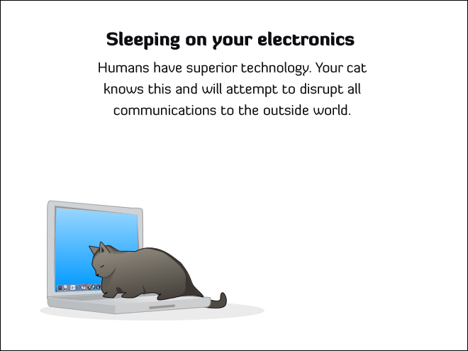 How to Tell If Your Cat is Plotting to Kill You